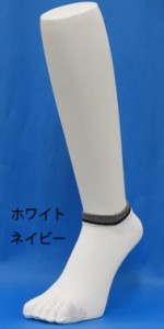 CS12_wtnv