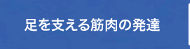 足を支える筋肉の発達