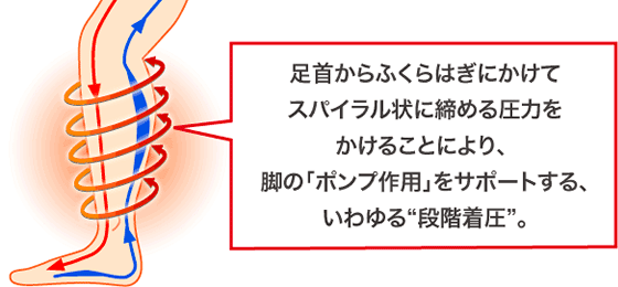 足首からふくらはぎにかけてスパイラル状に締める圧力をかけることにより、脚の「ポンプ作用」をサポートする、いわゆる“段階着圧” 